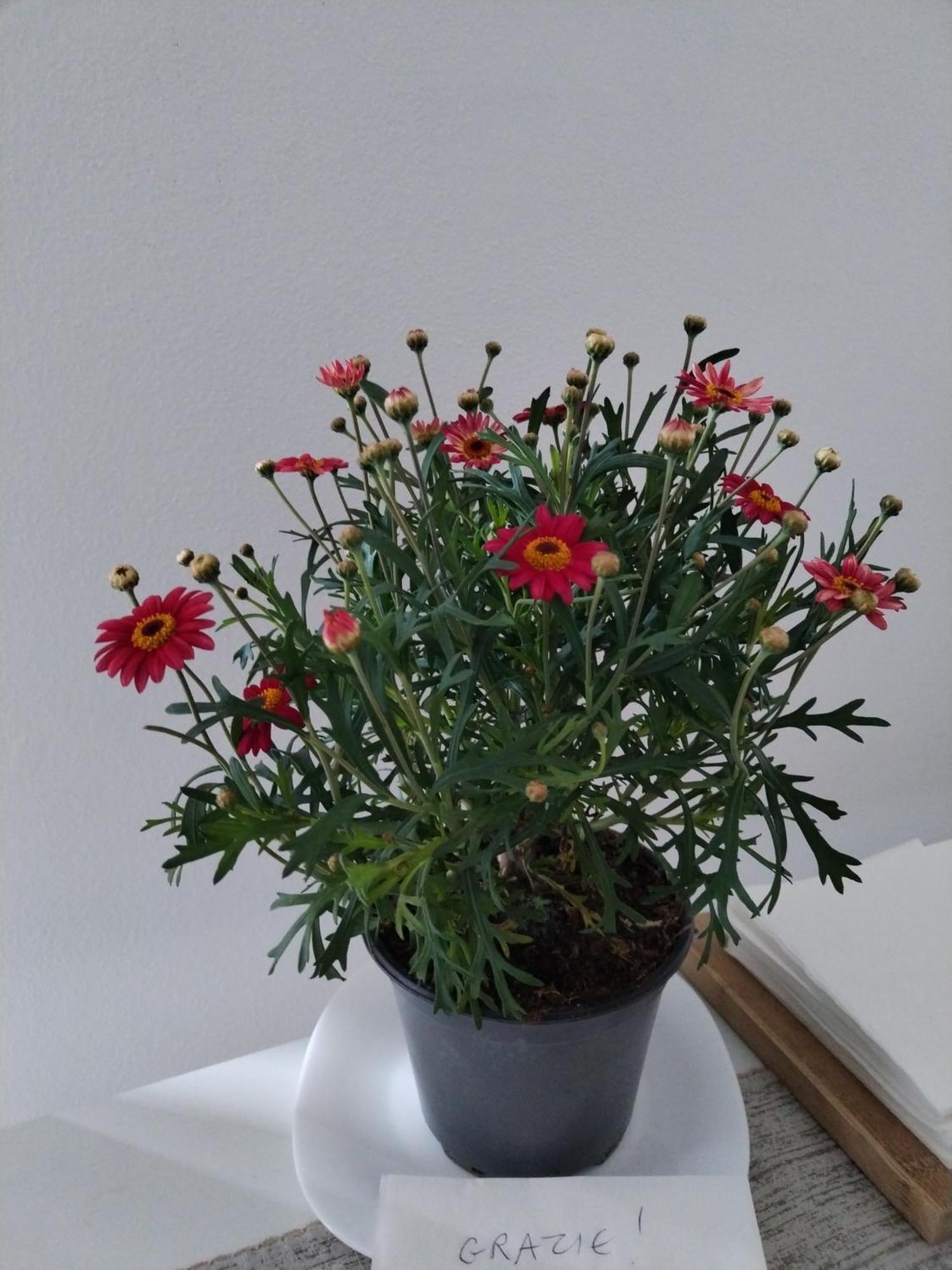Un Balcone Sul Lago Оменя Екстериор снимка