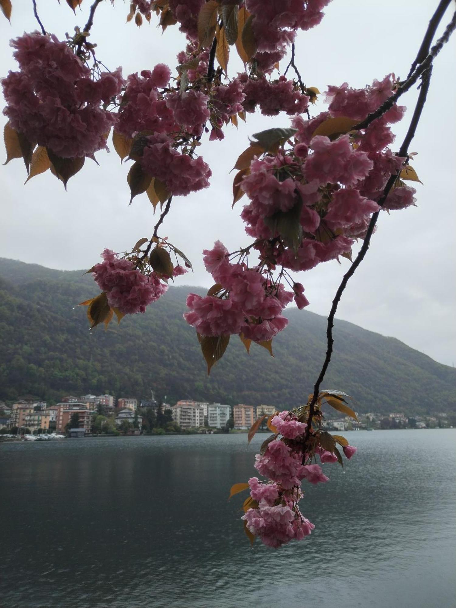 Un Balcone Sul Lago Оменя Екстериор снимка